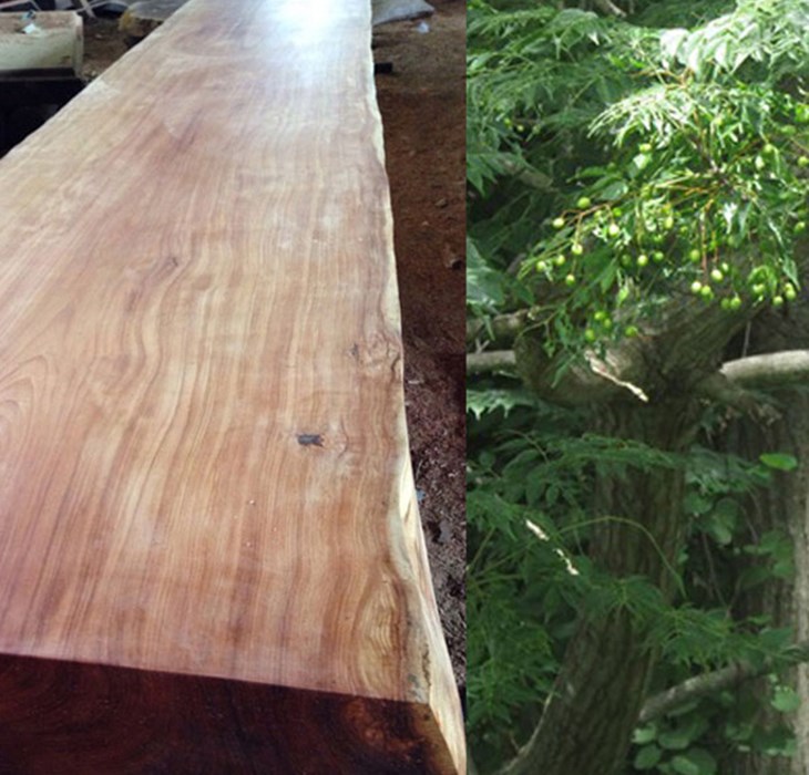 THÙNG LOA SUNG SƯỚNG