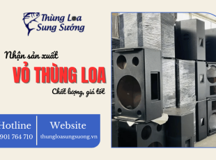 Thùng Loa Sung Sướng - Nhận sản xuất vỏ thùng loa chất lượng, giá tốt